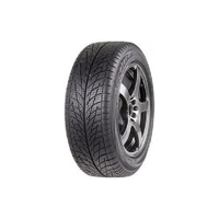 Foto pneumatico: ACCELERA, X-Grip n 205/55 R16 91V Invernali