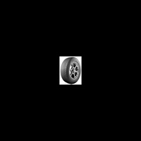 Foto pneumatico: ANTARES, POLYMAX 4S 185/60 R15 88H Quattro-stagioni