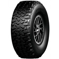 Foto pneumatico: APLUS, A607 205/55 R17 95W Estive