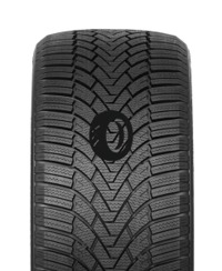 Foto pneumatico: ARIVO, ARW3 WINMASTER PROX 225/45 R19 96V Invernali