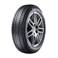 Foto pneumatico: AUTOGREEN, WINTER-MAX A1-WL5 245/45 R19 102V Invernali