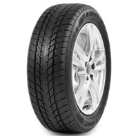 Foto pneumatico: DAVANTI, WINTOURA 195/60 R15 88H Invernali