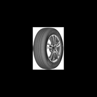Foto pneumatico: DELINTE, DS2 215/55 R16 97W Estive