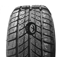 Foto pneumatico: DOUBLESTAR, DW09 WINTERKING 215/45 R17 91T Invernali