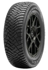 Foto pneumatico: FALKEN, WINTERPEAK F-ICE 1 195/65 R15 95T Invernali