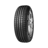 Foto pneumatico: FORTUNA, ecoplus 255/50 R19 107W Estive