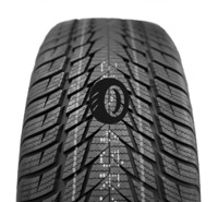 Foto pneumatico: FORTUNA, GOWIN UHP 2 205/45 R17 88V Invernali