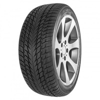 Foto pneumatico: FORTUNA, GOWIN UHP3 195/60 R16 89V Invernali