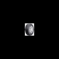 Foto pneumatico: FORTUNE, FSR-302 265/70 R16 112T Estive