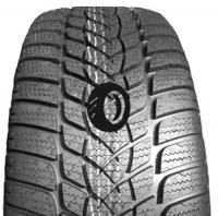 Foto pneumatico: GOODYEAR, UG PERFORMANCE 2 205/55 R16 91H Invernali
