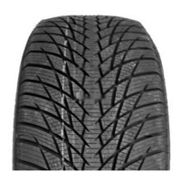 Foto pneumatico: GREENTRAC, WINTER MASTER D1 245/45 R18 100V Invernali