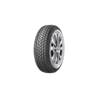 Foto pneumatico: GT Radial, CHAMPIRO WINTERPRO2 155/80 R13 79T Invernali