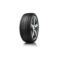 Foto pneumatico: LANDSAIL, Winter Lander 205/55 R16 91h Invernali