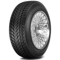 Foto pneumatico: LANDSAIL, winter lander 185/60 R14 82t Invernali