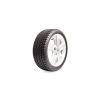 Foto pneumatico: LANDSAIL, WINTER LANDER 205/55 R17 95h Invernali