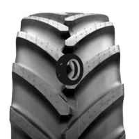 Foto pneumatico: MICHELIN, AXIOBIB 2 650/65 R42 174D Quattro-stagioni