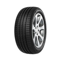 Foto pneumatico: MINERVA, F205 245/45 R17 99W Estive
