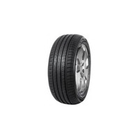 Foto pneumatico: MINERVA, F209 225/60 R15 96V Estive
