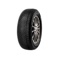 Foto pneumatico: MINERVA, Frostrack HP 205/55 R16 91H Invernali