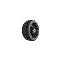 Foto pneumatico: MOMO, TOPRUN M30 EUROPA 255/40 R19 100Y Estive