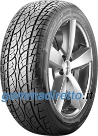 Foto pneumatico: NANKANG, SP-7 255/30 R22 95V Estive