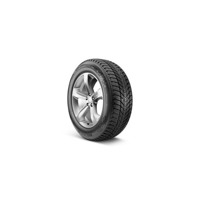 Foto pneumatico: NEXEN, WINGUARD ICE PLUS WH43 205/55 R16 91T Invernali