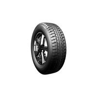 Foto pneumatico: PETLAS, SNOWMASTER W651 185/55 R14 80H Invernali