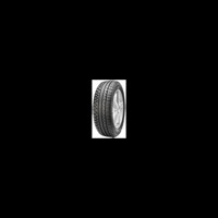 Foto pneumatico: PROFIL, WINTERMAXX EVO 195/60 R16 89H Invernali
