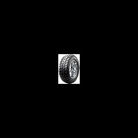 Foto pneumatico: RADAR, RENEGADE R7 M/T 295/70 R17 121Q Estive