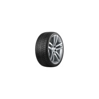 Foto pneumatico: ROADMARCH, WINTERXPRO 888 225/55 R17 101H Invernali