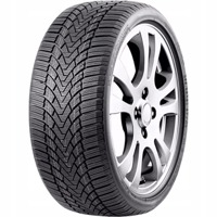 Foto pneumatico: ROADMARCH, WINTERXPRO 888 225/45 R18 95H Invernali