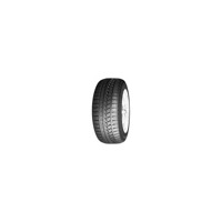 Foto pneumatico: ROADSTONE, WINGUARD SPORT 205/45 R17 88V Invernali