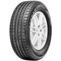 Foto pneumatico: SAILUN, TERRAMAX CVR 255/50 R19 107V Estive