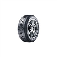 Foto pneumatico: SUNNY, Wintermax NW611 185/60 R14 86T Invernali