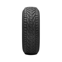 Foto pneumatico: TAURUS, 601 winter 205/50 R17 93V Invernali