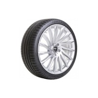 Foto pneumatico: TOMASON, SPORTRACE 215/50 R17 95W Estive