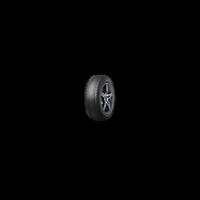 Foto pneumatico: TOURADOR, winter pro ts1 215/65 R16 98H Invernali