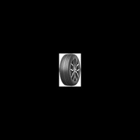 Foto pneumatico: TOURADOR, WINTER PRO TSU1 275/40 R20 106V Invernali