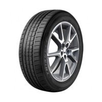 Foto pneumatico: TRIANGLE, TC-101 ADVANTEX 205/60 R15 95V Estive