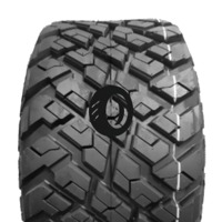 Foto pneumatico: WANDA TYRE, P3118 10/ R14 80B Quattro-stagioni
