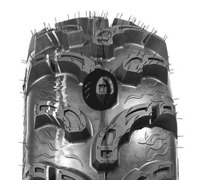 Foto pneumatico: WANDA TYRE, P375 11/ R10 53J Quattro-stagioni