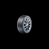 Foto pneumatico: WANLI, SA302 225/45 R18 95Z Estive