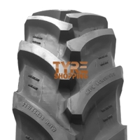 Foto pneumatico: WDT, R1-W 420/85 R28 139A8 Estive