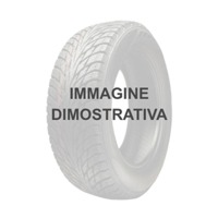 Foto pneumatico: MINERVA, 209 145/70 R12 70R Estive