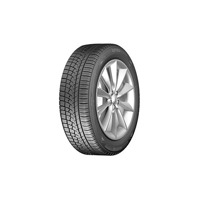 Foto pneumatico: ZEETEX, WH1000 225/40 R18 92V Invernali