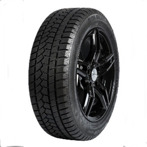 Foto pneumatico: GOLDLINE, GLW1 WINTER 205/55 R16 91H Invernali