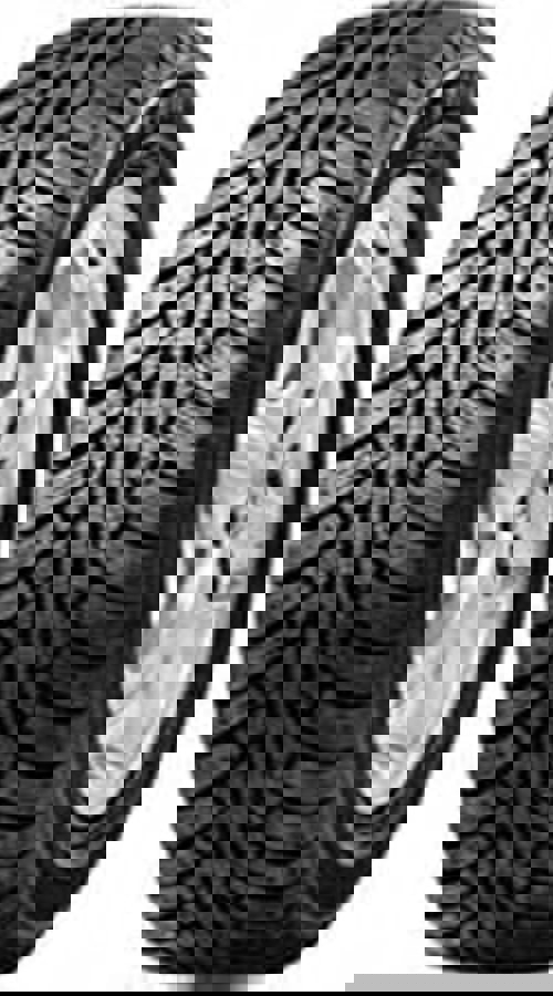 Foto pneumatico: GOODRIDE, sw606 205/50 R17 93H Invernali