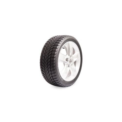 Foto pneumatico: LANDSAIL, WINTER LANDER 205/55 R17 95h Invernali