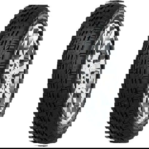 Foto pneumatico: MINERVA, F205 215/50 R19 93T Estive