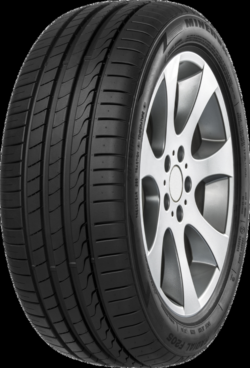 Foto pneumatico: MINERVA, F105 205/40 R18 86Y Estive